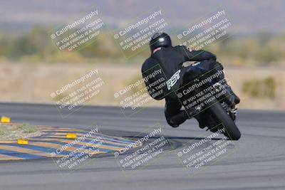 media/Dec-09-2023-SoCal Trackdays (Sat) [[76a8ac2686]]/Turn 14 Backside (1050am)/